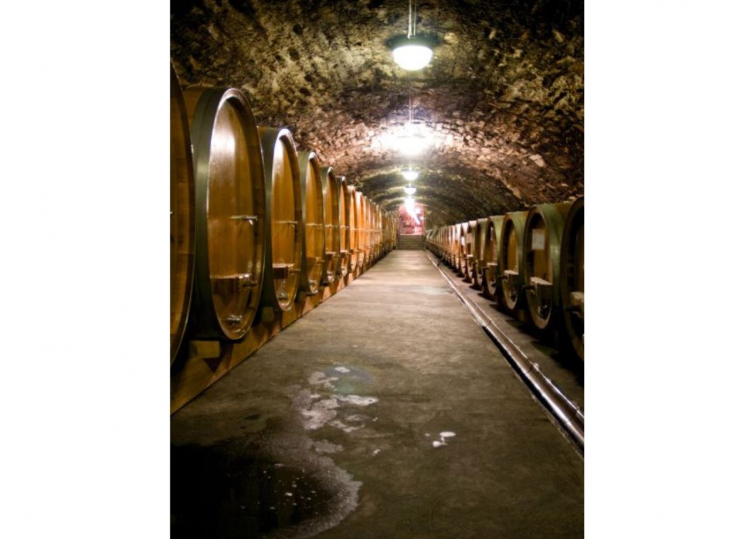 Winzergenossenschaft Mayschoß-Altenahr eG Winzergenossenschaft Mayschoß-Altenahr eG