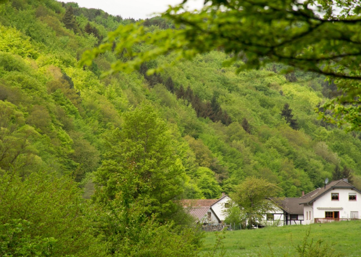 Ferienwohnung Burgmühle