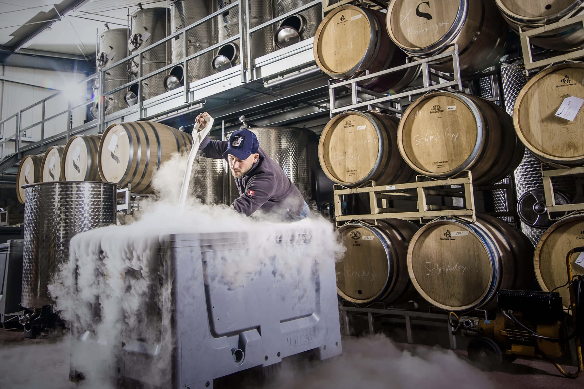 Weingut Sermann Lukas Sermann arbeitet im modernen Weinkeller.