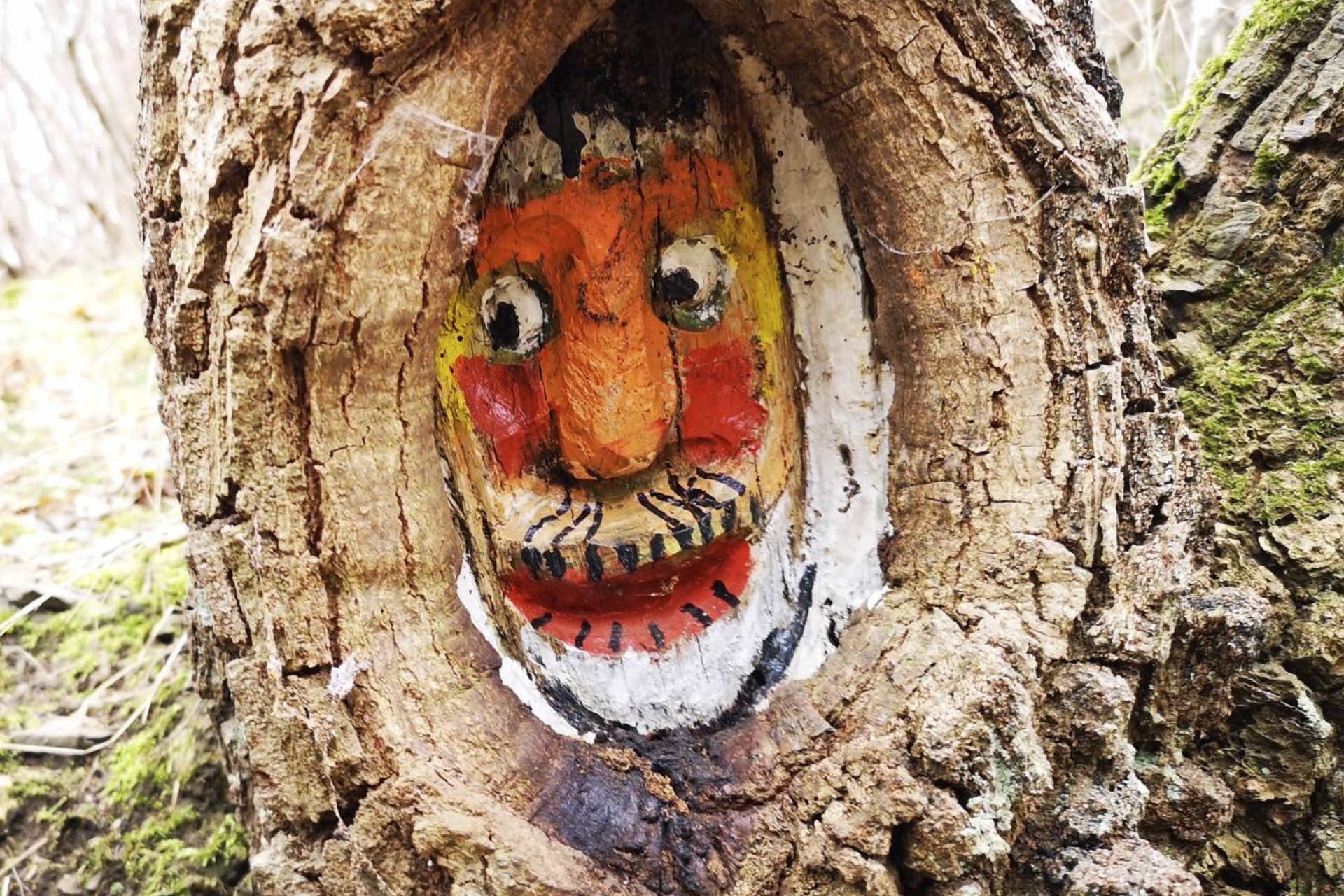 Baumgeister In einen Baumstamm geschnitztes Gesicht.