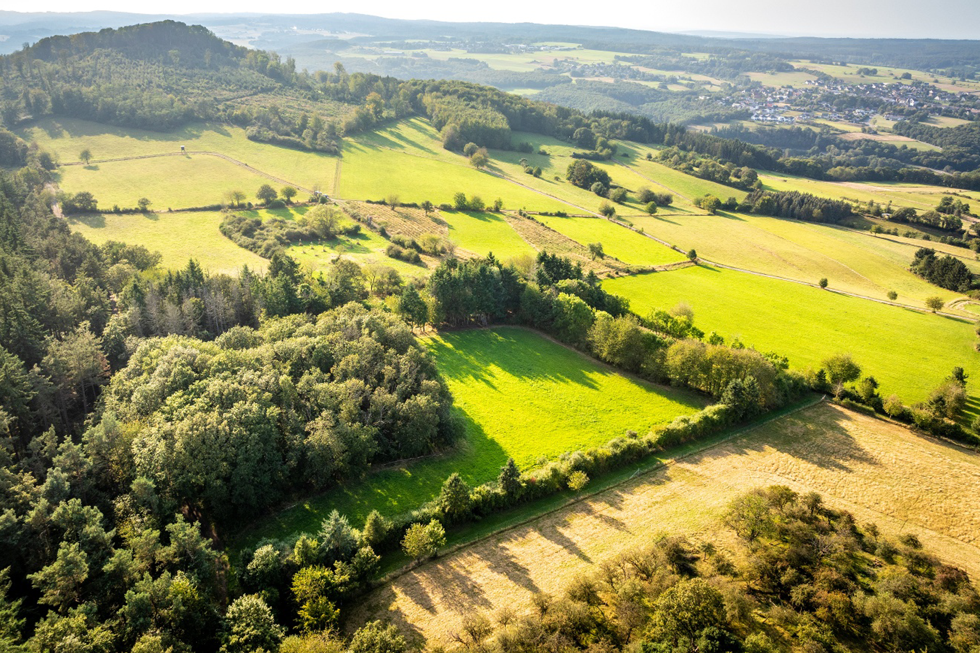 Höhenansicht Sahrbachtal
